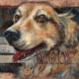 Woof: Barnyard Talk Series by Lynette Redner