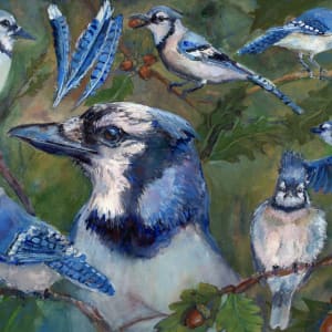 Study of  a Blue Jay by Lynette Redner