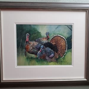 Turkeys in the Field 