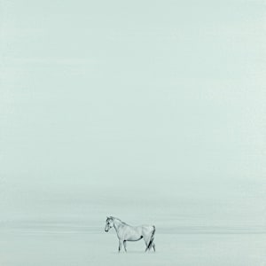 Wild Horse by F. Lipari