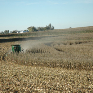 Corn Harvesting - Combine with Farm in Background by Carol Abbott