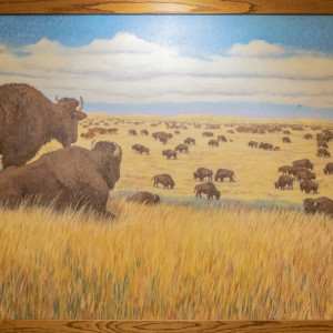 Untitled (Buffalo) by Nancy Jellico