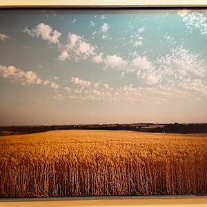 Pleasant Dale, Seward County, NE by John Spence 
