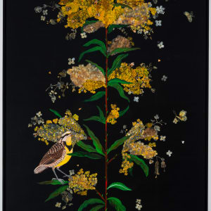Gray Goldenrod, Western Meadowlark by Nancy Friedemann-Sánchez