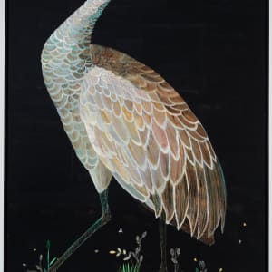 Sandhill Crane by Nancy Friedemann-Sánchez