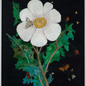 White Prickly Poppy, Monarch Butterfly by Nancy Friedemann-Sánchez