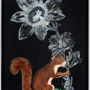 Fox Squirrel by Nancy Friedemann-Sánchez