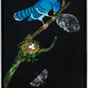 Blue Jay by Nancy Friedemann-Sánchez