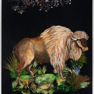 American Bison by Nancy Friedemann-Sánchez