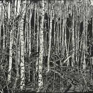 Poplars by Watie White