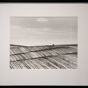 Along Highway 92 by Jean Lewis