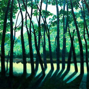 St. Croix River through the Trees by Betni Kalk