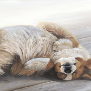 Dog Gone Tired by Tammy Taylor
