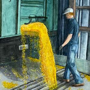 Corn - Midwest Gold by Janine Wilson, Image 1.
