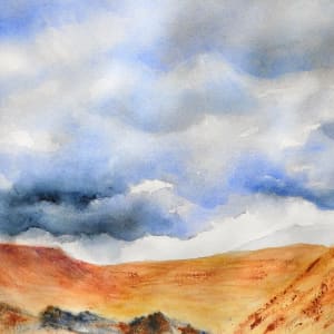 Southwest Storm by Janine Wilson