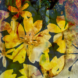 Sunshine 1 by Lesley Riley