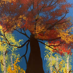 Colors of Fall in Colorado by Christopher John Hoppe