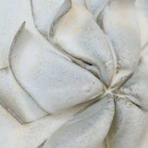Orchid Wall Work by BEN MEDANSKY STUDIO 