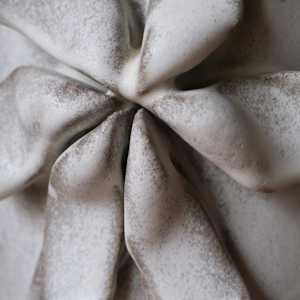Orchid Vessel by BEN MEDANSKY, Image 10.