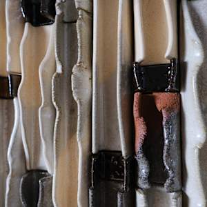 Rusted Ivory Waves by BEN MEDANSKY 