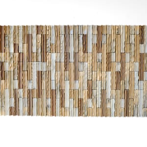 Desert Sand Waves by BEN MEDANSKY 