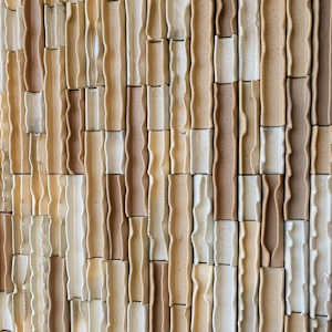 Desert Sand Waves by BEN MEDANSKY 