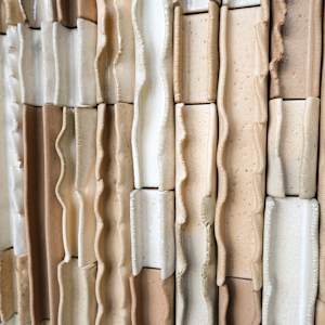 Desert Sand Waves by BEN MEDANSKY 