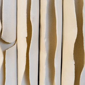 FG Study III by BEN MEDANSKY 