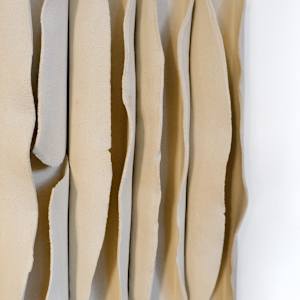 FG Study III by BEN MEDANSKY 