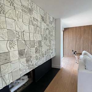 Bravo Fireplace by BEN MEDANSKY 