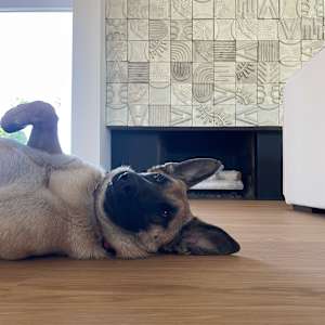 Bravo Fireplace by BEN MEDANSKY 