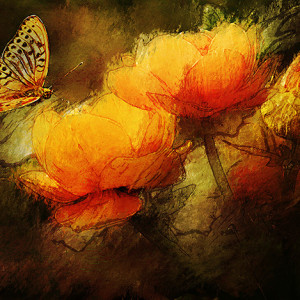 9th Place - Margo Reasner - "Tulips with Butterfly" by Margo Reasner