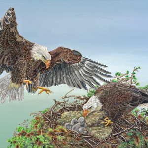 4th Place - Dr. Ann Lindahl - " Quadriptych Panel 4 - Mating Ritual 4 - Later, Eaglets in Nest" - https://squareup.com/store/ann-lindahl-studio by Ann Lindahl