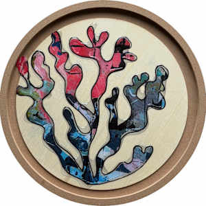 Seaweed - Within A Rainbowed Sea by Tina Psoinos, Image 3.