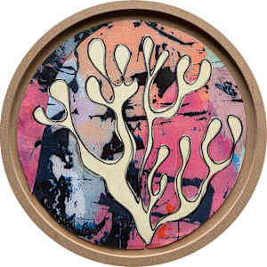 Seaweed - Within A Rainbowed Sea by Tina Psoinos, Image 8.