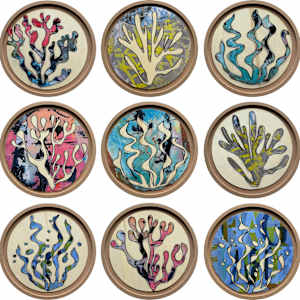 Seaweed - Within A Rainbowed Sea by Tina Psoinos, Image 11.