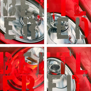 Typography on Photo (tetraptychs) by Tina Psoinos  Image: 1. Beetle Red