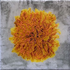 Marigold_Sunflowers_Pandora by Tina Psoinos 