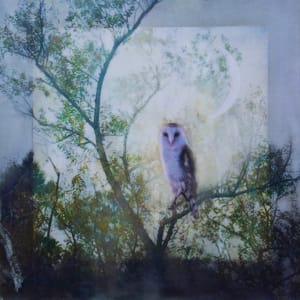 The Owl And The Moon by Alise Sheehan Art