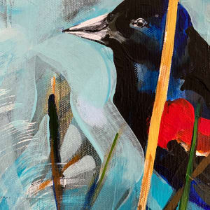 Flashing epaulets and echoing calls (Red-winged Blackbirds) by Anna Iris Graham  Image: Detail