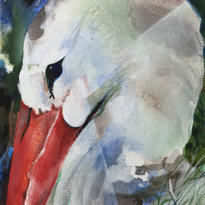 Stork by Anna Iris Graham 