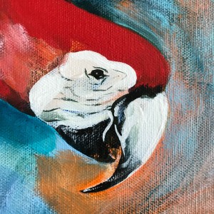 The Company (Macaws) by Anna Iris Graham 