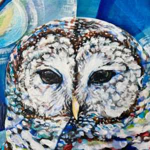 No sunrise finds us where the sunset left us (Barred owl) by Anna Iris Graham 