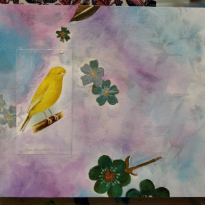 Clear Crest-bred Canary by Heather Robinson 
