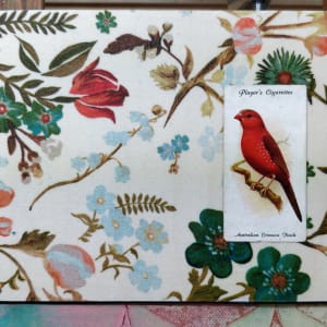 Australian Crimson Finch by Heather Robinson 