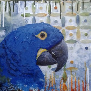 Glimpse of Azure (Hyacinth Macaw) by Josh Coffy and Heather Robinson 