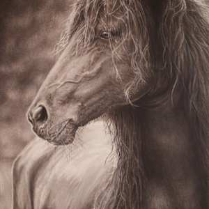 Braveheart by Carol L. Acedo