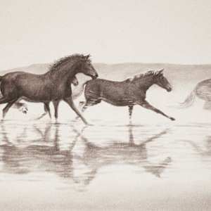 Reflections of Freedom by Carol L. Acedo