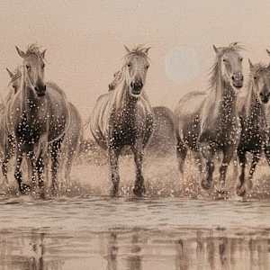 White Thunder by Carol L. Acedo, Image 1.