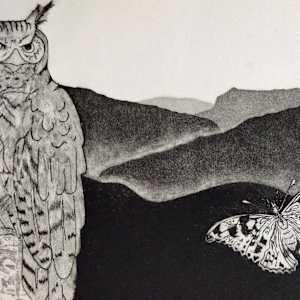 Night Watch by Debi Slowey-Raguso, Image 1.